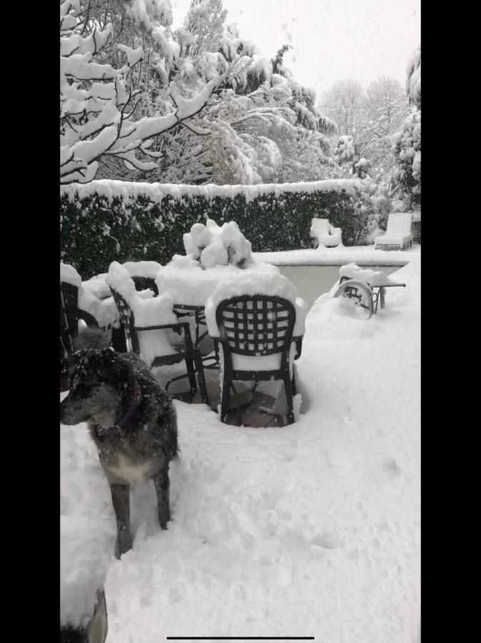Il Pioppo Antico Daire Viggiù Dış mekan fotoğraf