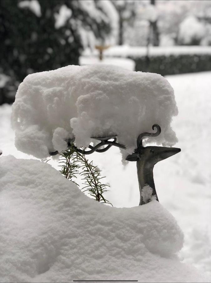 Il Pioppo Antico Daire Viggiù Dış mekan fotoğraf