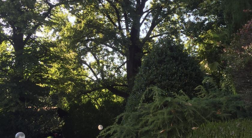 Il Pioppo Antico Daire Viggiù Oda fotoğraf
